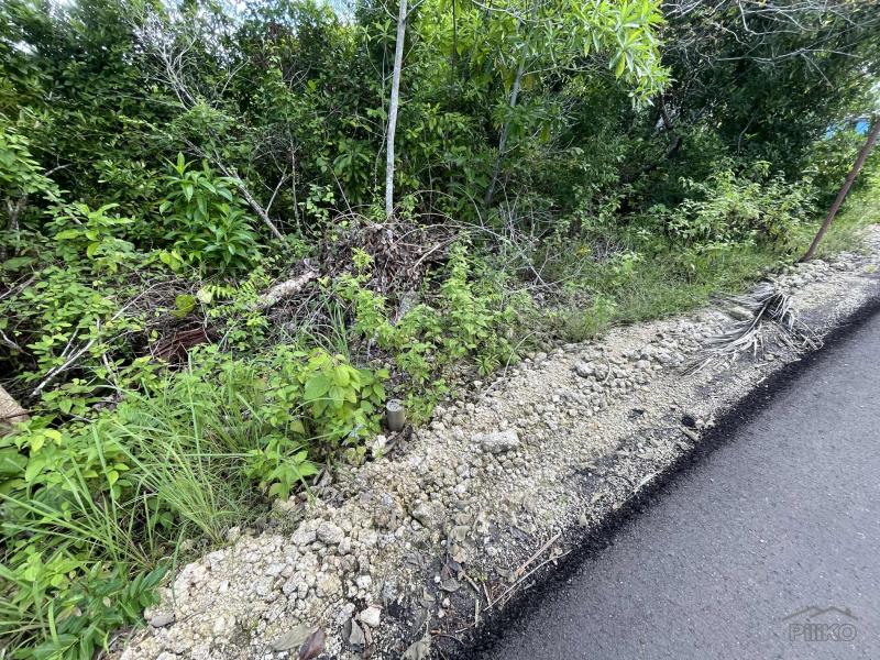 Residential Lot for sale in Siquijor in Siquijor
