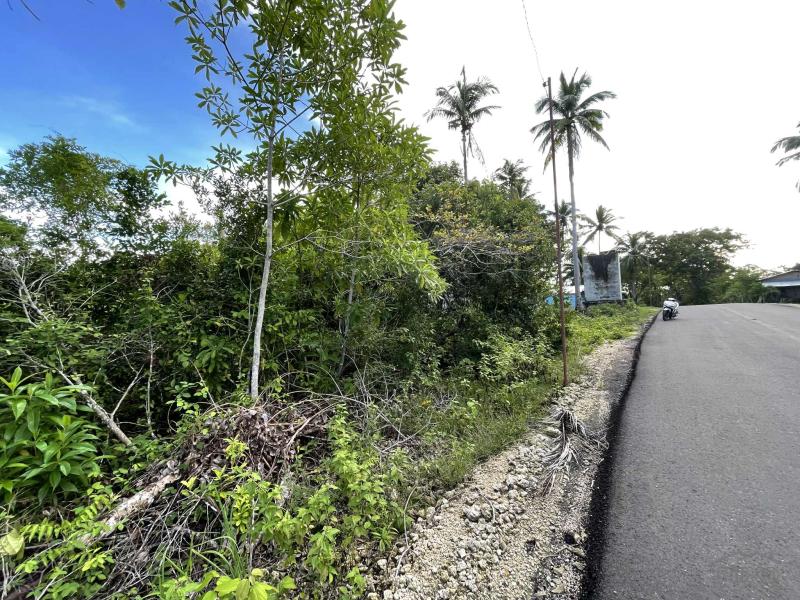 Residential Lot for sale in Siquijor in Philippines
