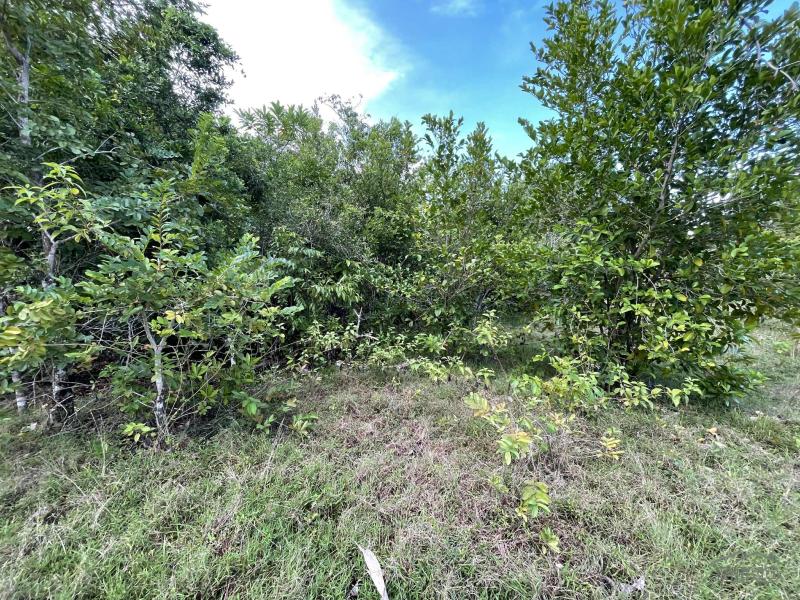 Picture of Residential Lot for sale in Siquijor in Siquijor
