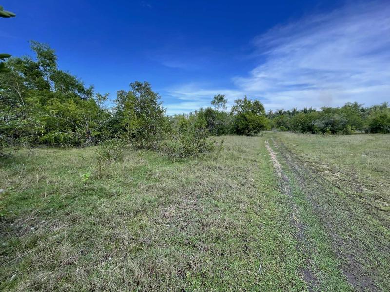 Picture of Residential Lot for sale in Siquijor in Philippines