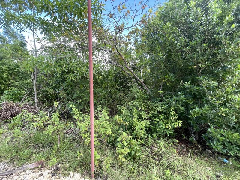 Residential Lot for sale in Siquijor in Siquijor - image