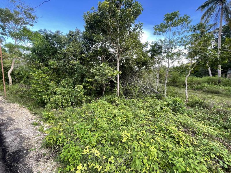 Residential Lot for sale in Siquijor in Philippines - image