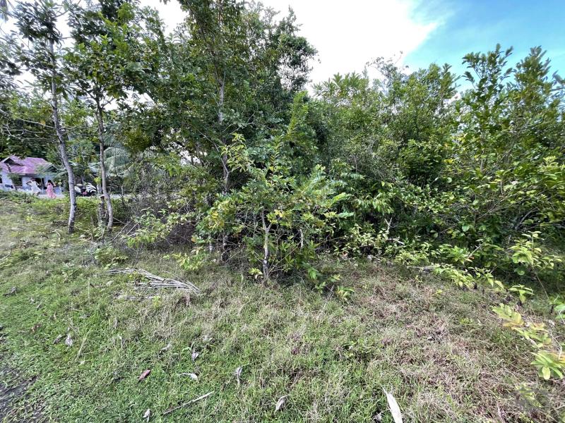 Residential Lot for sale in Siquijor - image 9