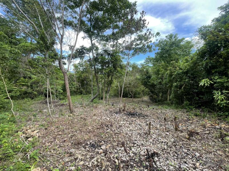 Picture of Residential Lot for sale in San Juan
