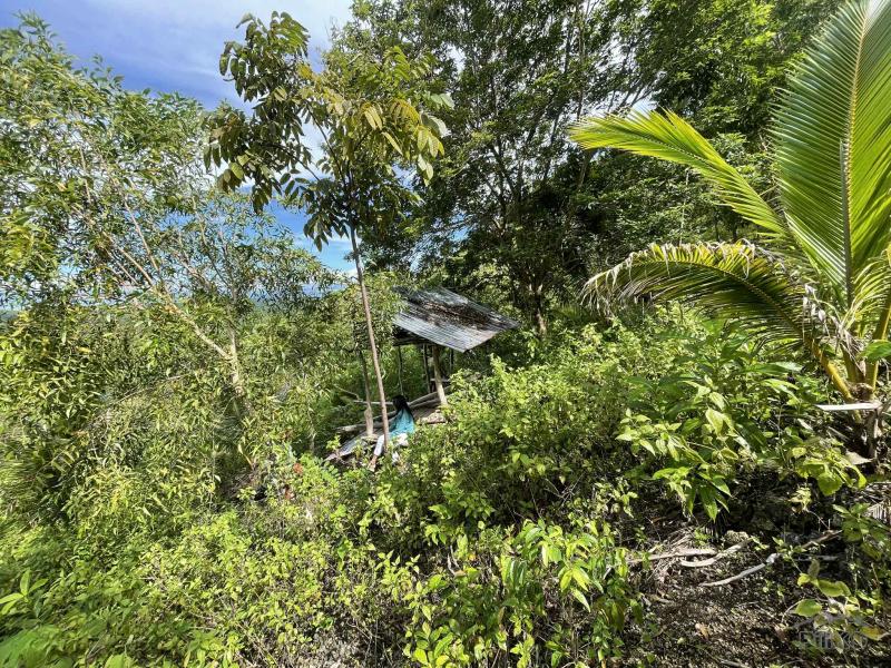 Residential Lot for sale in San Juan