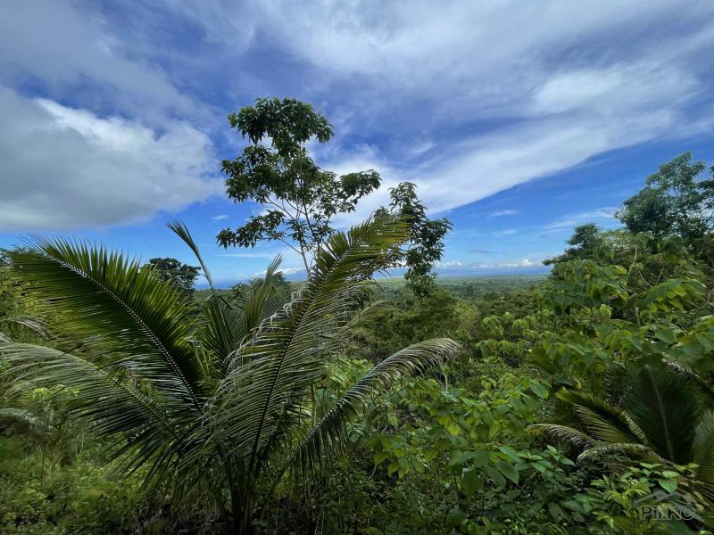 Residential Lot for sale in San Juan in Siquijor
