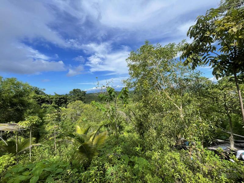 Residential Lot for sale in San Juan in Philippines