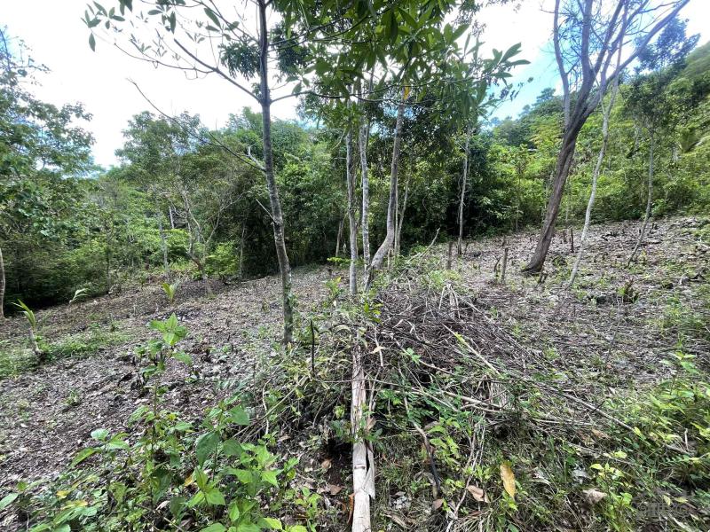 Picture of Residential Lot for sale in San Juan in Siquijor