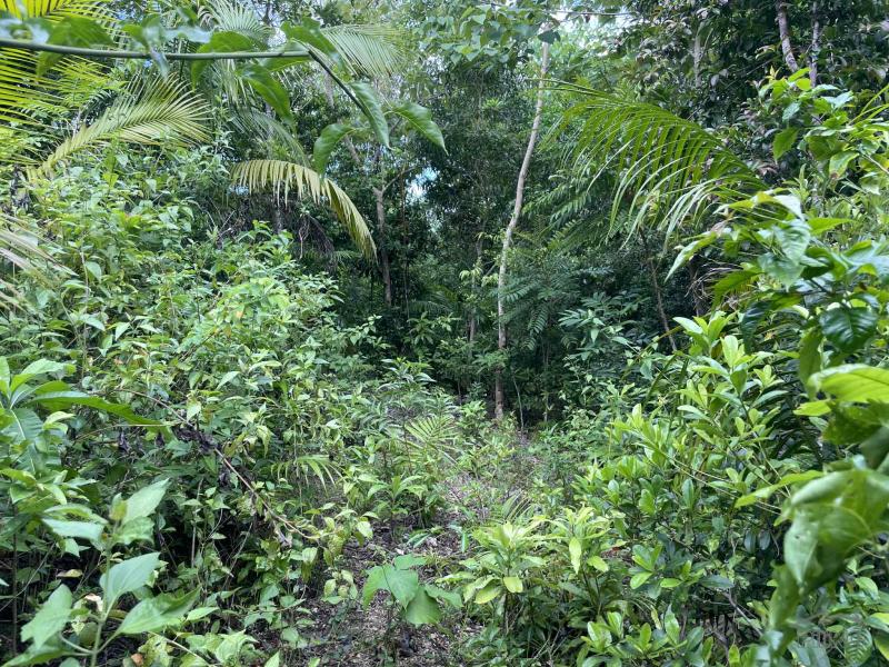 Picture of Residential Lot for sale in San Juan in Philippines