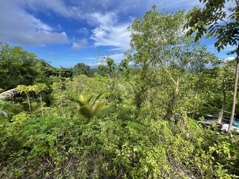 Residential Lot for sale in San Juan in Philippines - image