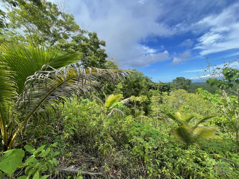 Residential Lot for sale in San Juan - image 9
