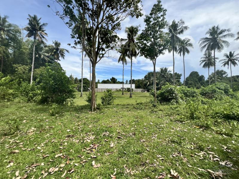 Residential Lot for sale in Valencia - image 11