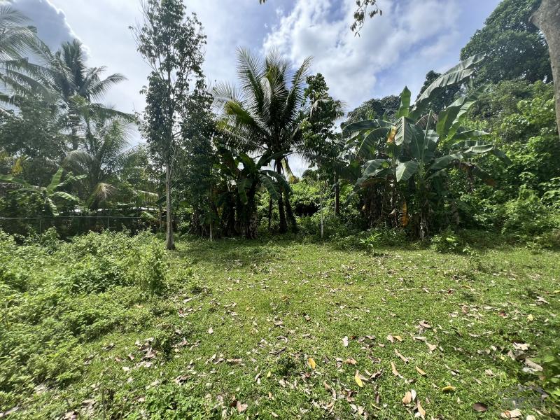 Residential Lot for sale in Valencia - image 12