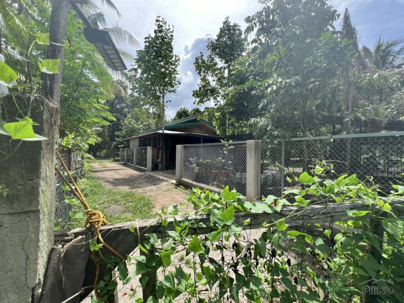 Residential Lot for sale in Valencia - image 13
