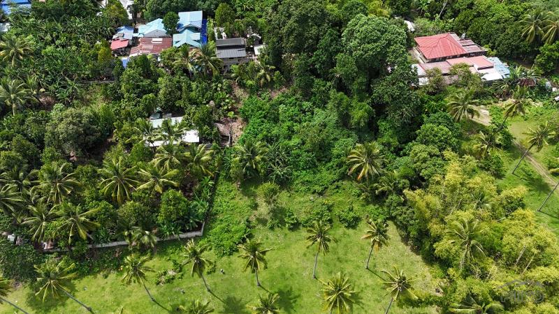 Picture of Residential Lot for sale in Valencia