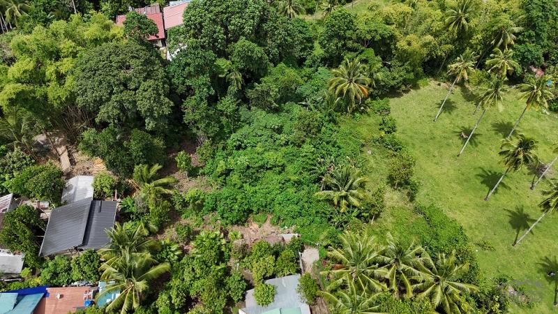 Residential Lot for sale in Valencia - image 2