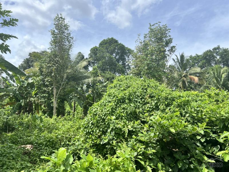 Residential Lot for sale in Valencia in Philippines - image