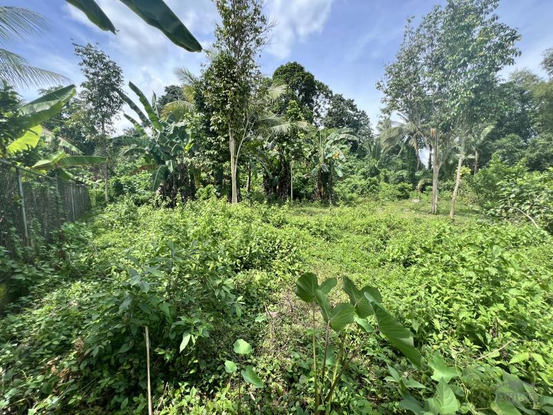 Residential Lot for sale in Valencia - image 9