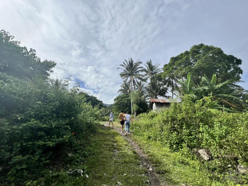 Agricultural Lot for sale in Dauin - image 13