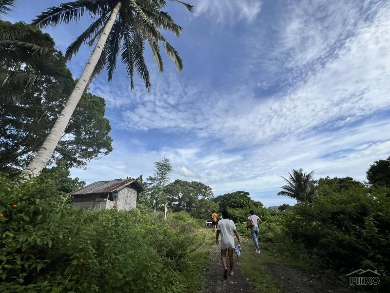 Agricultural Lot for sale in Dauin - image 22