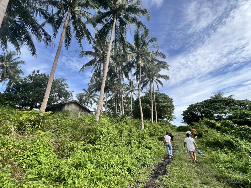 Agricultural Lot for sale in Dauin - image 23