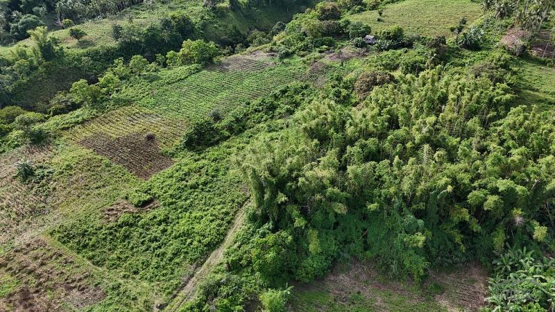 Agricultural Lot for sale in Dauin in Philippines