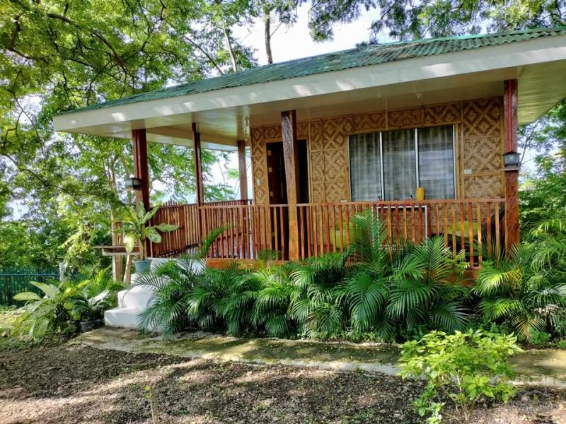 5 bedroom House and Lot for sale in Oslob in Cebu