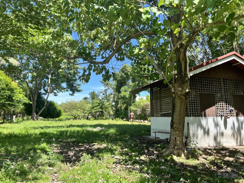Residential Lot for sale in Dauin - image 10