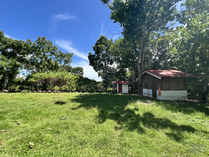 Picture of Residential Lot for sale in Dauin