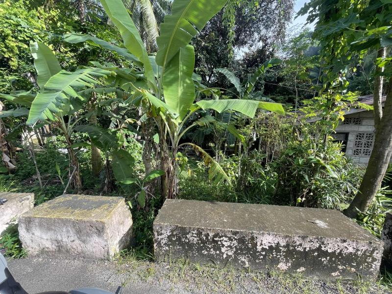 Picture of Residential Lot for sale in Siquijor
