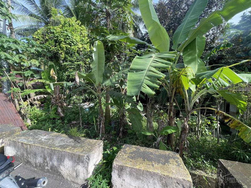 Residential Lot for sale in Siquijor - image 2