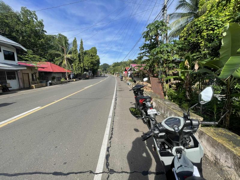 Residential Lot for sale in Siquijor - image 5