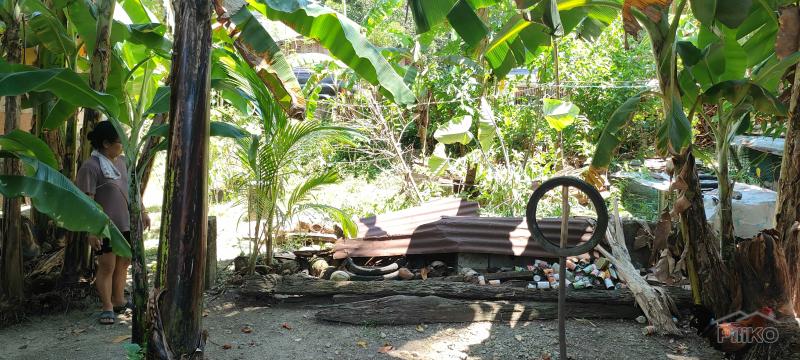 Residential Lot for sale in Siquijor - image 6