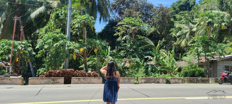 Residential Lot for sale in Siquijor - image 7