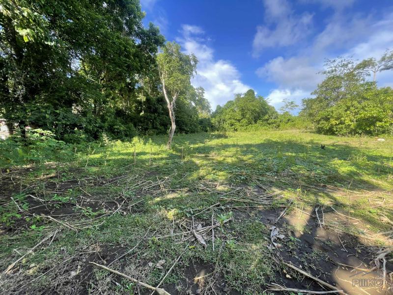 Picture of Residential Lot for sale in San Juan