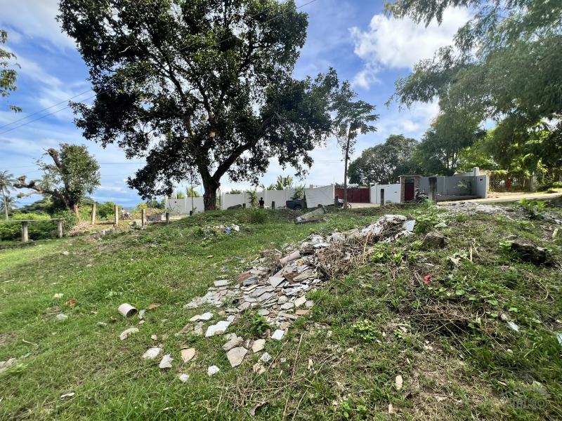 Residential Lot for sale in Valencia - image 10
