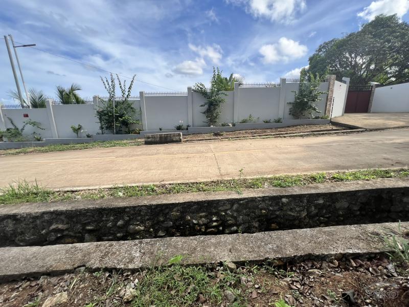 Residential Lot for sale in Valencia - image 13