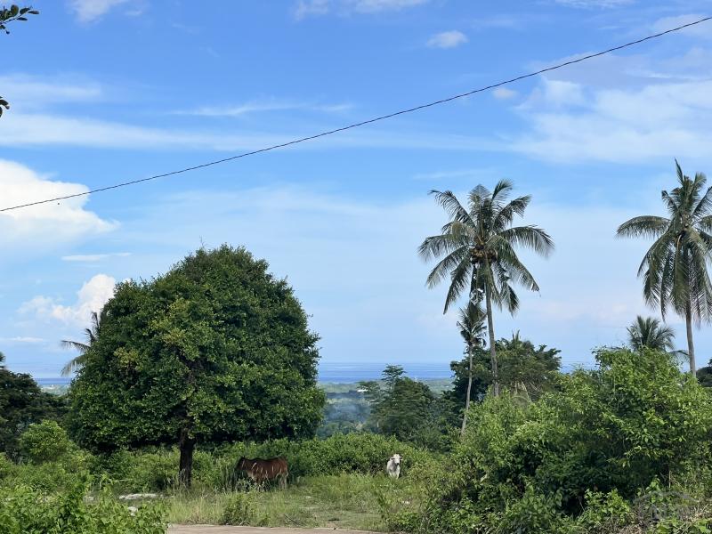 Residential Lot for sale in Valencia - image 14