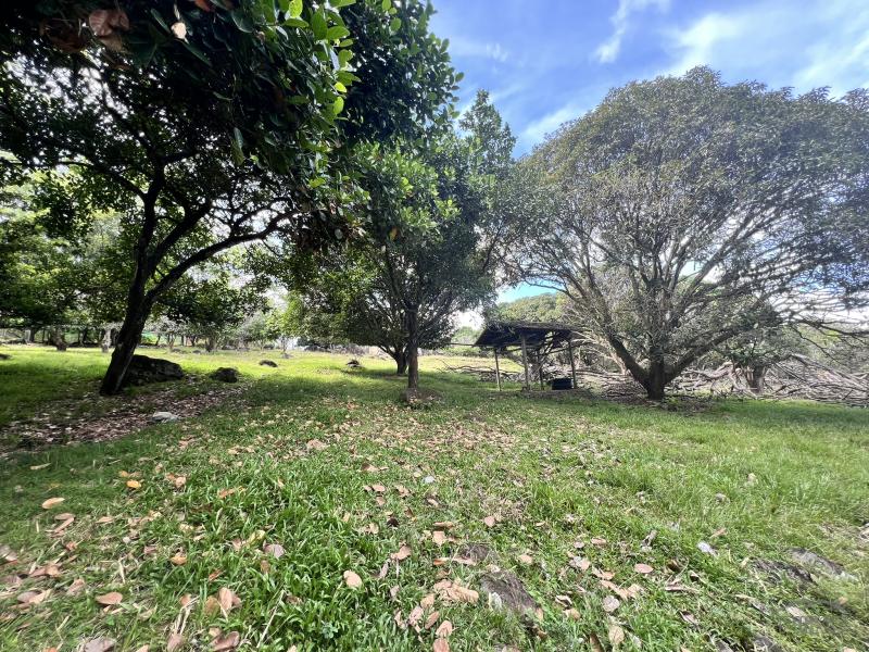 Residential Lot for sale in Valencia - image 15