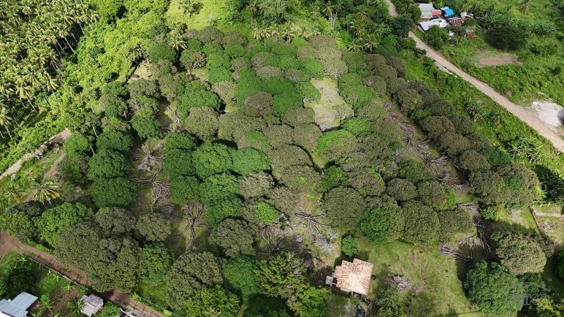 Picture of Residential Lot for sale in Valencia