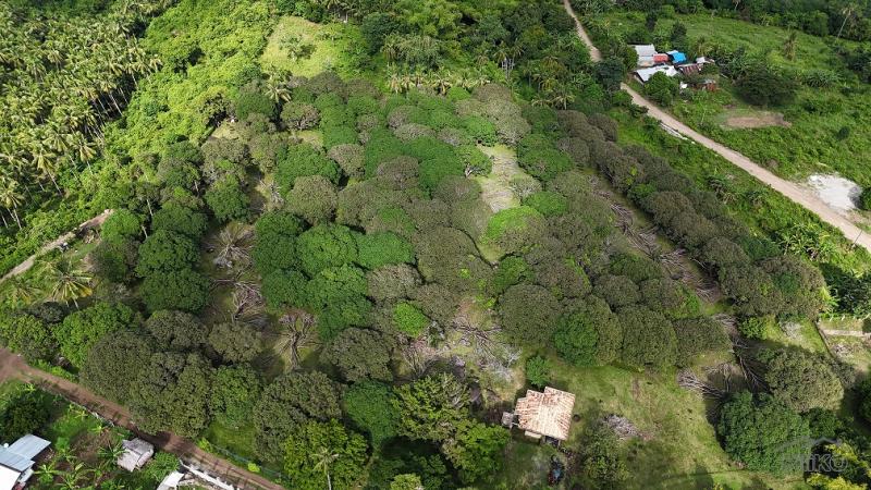 Residential Lot for sale in Valencia - image 2