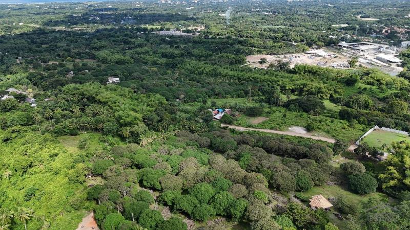 Residential Lot for sale in Valencia - image 3