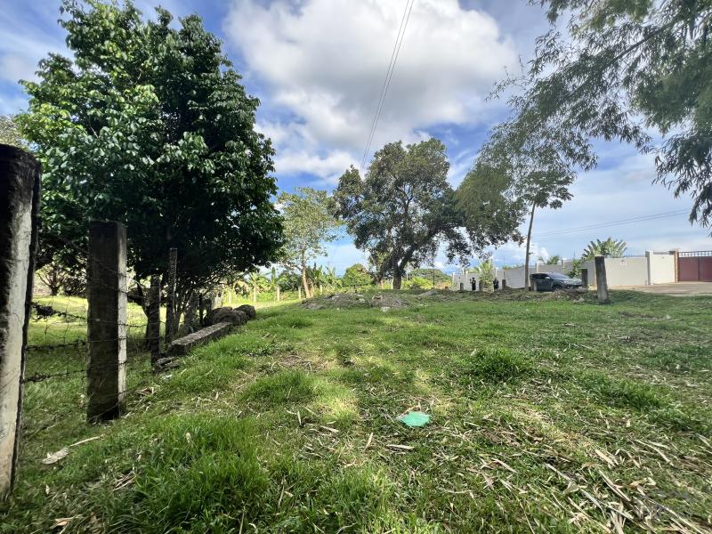 Residential Lot for sale in Valencia - image 8