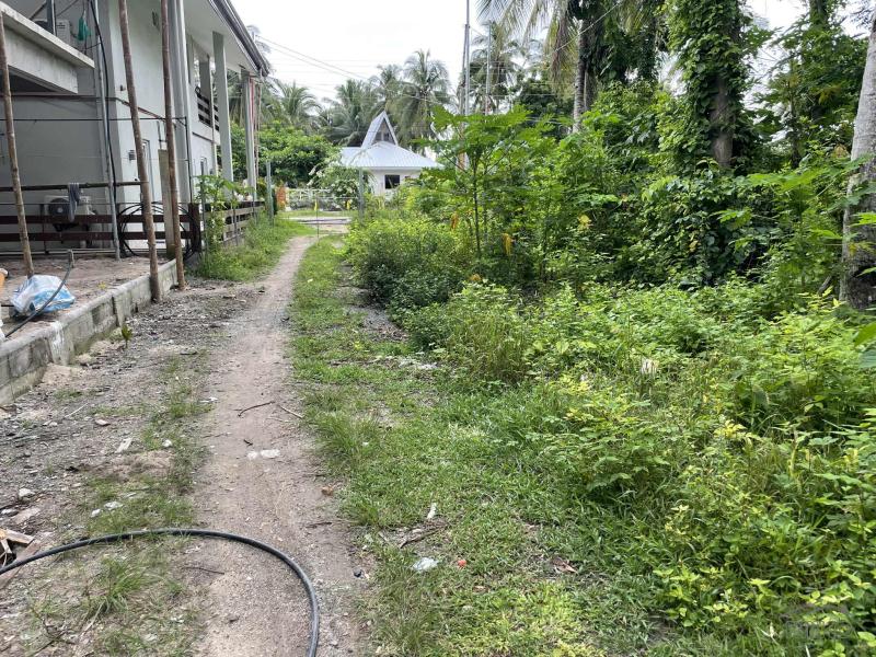 2 bedroom House and Lot for sale in San Juan - image 16
