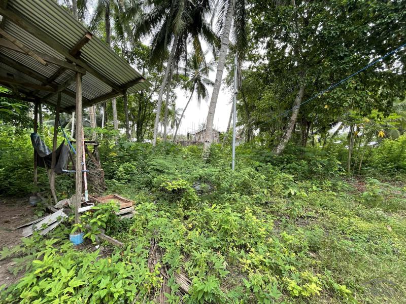 2 bedroom House and Lot for sale in San Juan - image 19