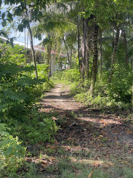2 bedroom House and Lot for sale in San Juan - image 20