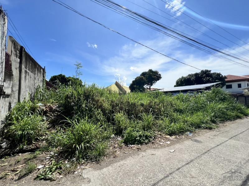 Picture of Residential Lot for sale in Dumaguete