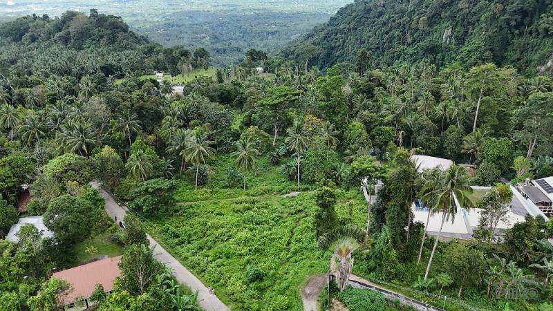 Picture of Residential Lot for sale in Valencia