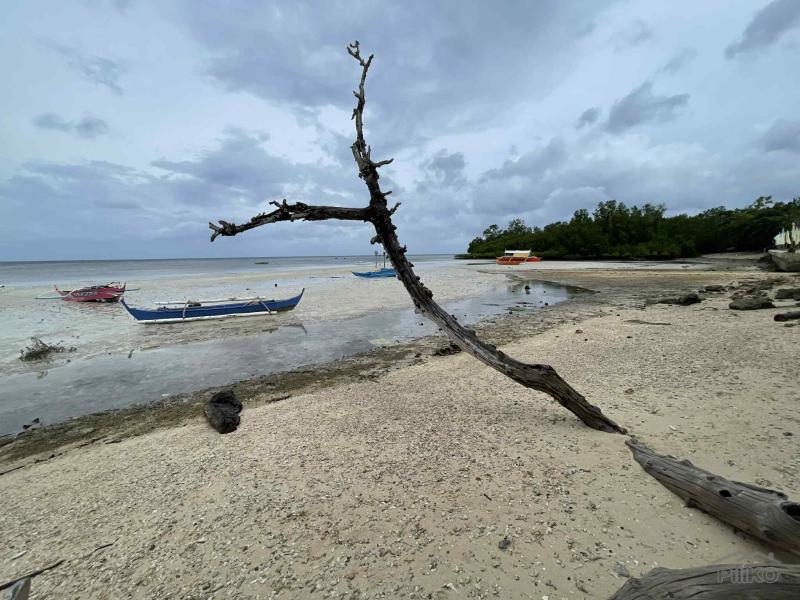 Commercial Lot for sale in Enrique Villanueva - image 10