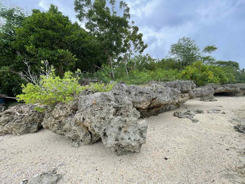 Commercial Lot for sale in Enrique Villanueva - image 11